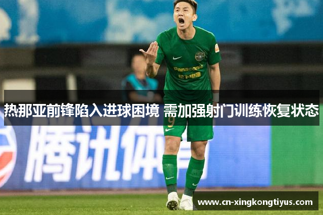 热那亚前锋陷入进球困境 需加强射门训练恢复状态