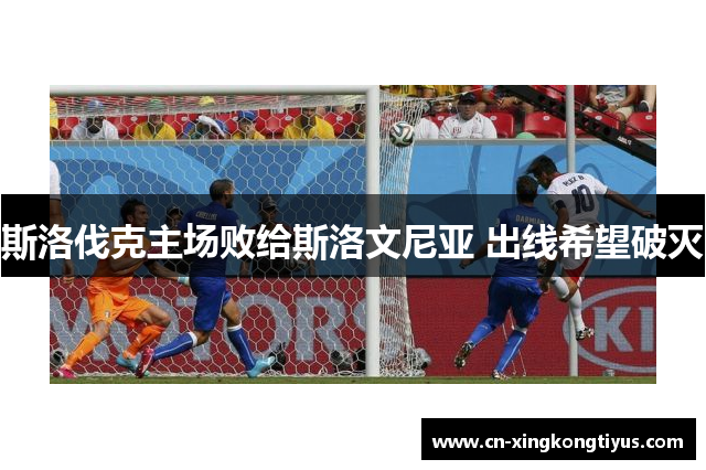 斯洛伐克主场败给斯洛文尼亚 出线希望破灭