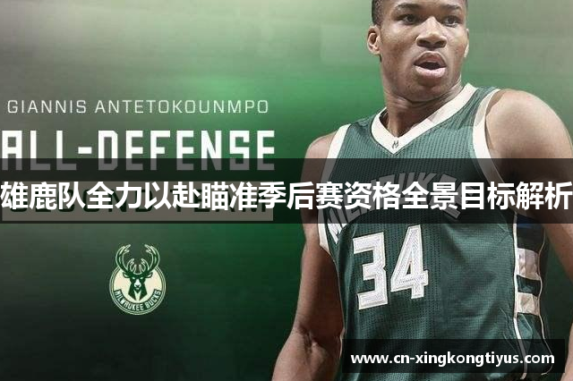 雄鹿队全力以赴瞄准季后赛资格全景目标解析