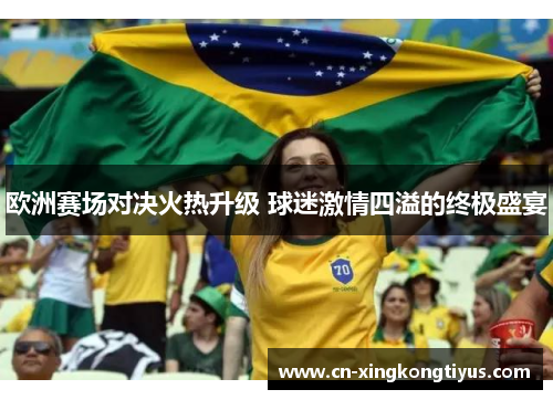 欧洲赛场对决火热升级 球迷激情四溢的终极盛宴