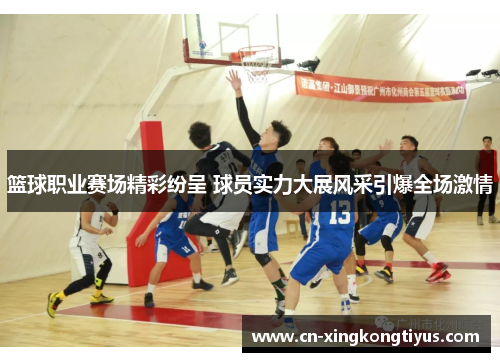 篮球职业赛场精彩纷呈 球员实力大展风采引爆全场激情