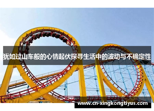 犹如过山车般的心情起伏探寻生活中的波动与不确定性