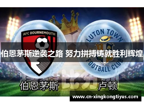伯恩茅斯逆袭之路 努力拼搏铸就胜利辉煌
