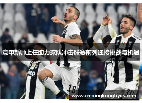 意甲新帅上任助力球队冲击联赛前列迎接挑战与机遇