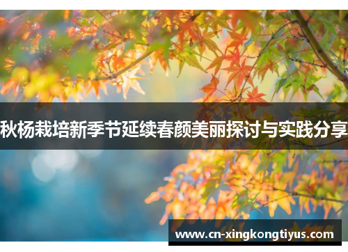 秋杨栽培新季节延续春颜美丽探讨与实践分享