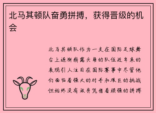北马其顿队奋勇拼搏，获得晋级的机会
