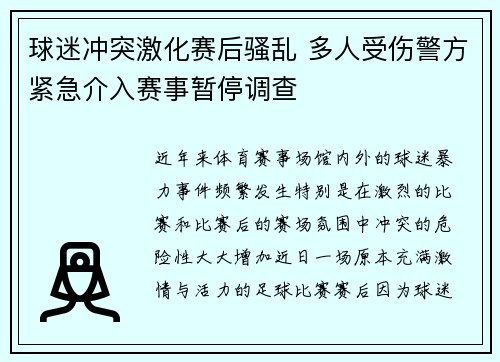 球迷冲突激化赛后骚乱 多人受伤警方紧急介入赛事暂停调查