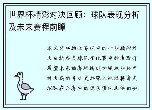 世界杯精彩对决回顾：球队表现分析及未来赛程前瞻